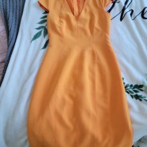 BNWT Orange Karen Millen Dress